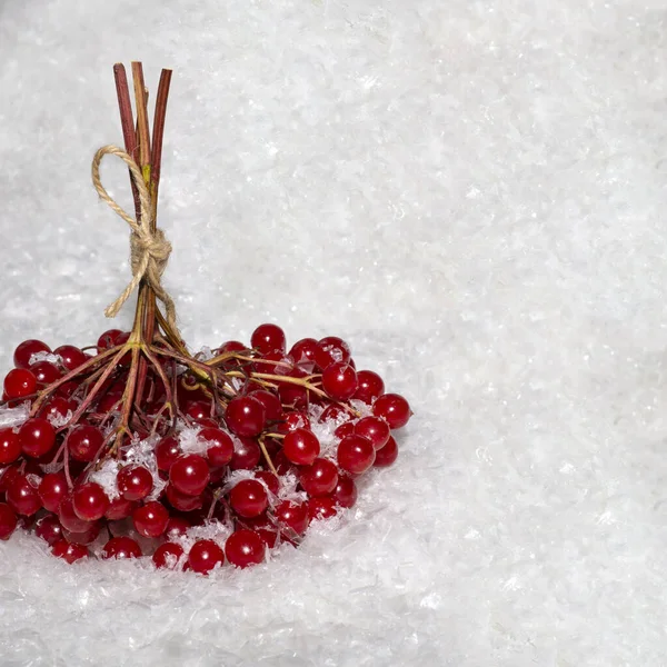 Shot Twigs Red Berries Tied Jute Lying Snow Copy Space — Stock Photo, Image