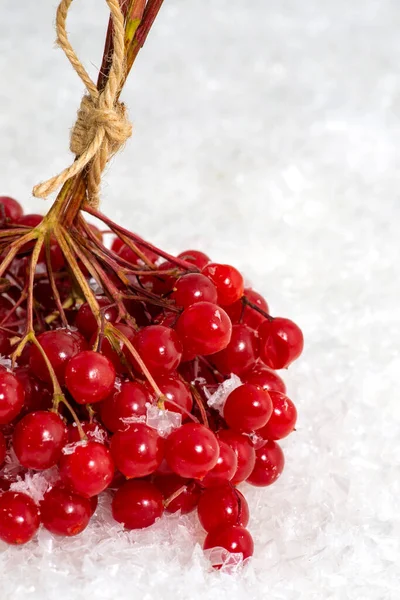 Close Shot Twigs Red Berries Tied Jute Lying Snow Medicinal — Stock Photo, Image