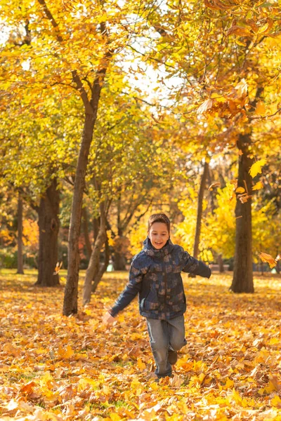 Snímek Mladého Chlapce Vesele Běží Nepravidelném Podzimním Listoví Jasného Podzimního — Stock fotografie