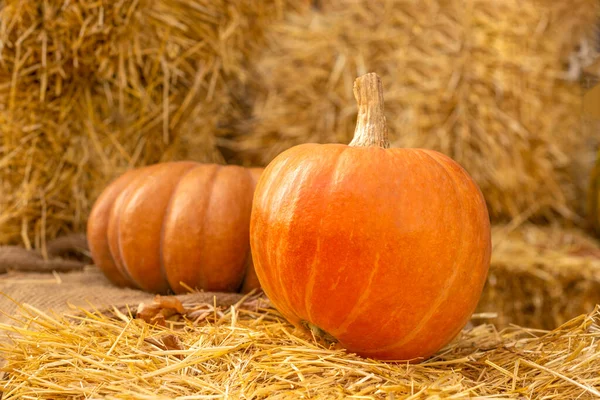 Shot Two Pumpkins Hay Clear Autumn Day — Stock Photo, Image