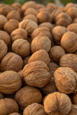 Ceviz hasadı. Cevizler bahçedeki masaya saçılmış.