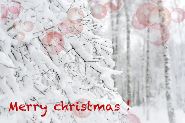 雪の中の公園の雪の下の木の枝のクローズアップ 自然の雪の冬の背景 ポストカード ポスター 碑文と招待状メリークリスマス — ストック写真