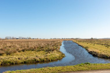 Hollanda 'da kanallarla tipik manzara çekimi.