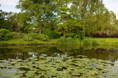 Su üzerinde zambaklar olan bir kanalı olan güzel bir park manzarası.. 