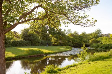 Su zambaklarıyla kanalın kıyısında bulunan güzel park ağaçları manzarası. Sudaki ağaçların yansıması. Bahçede bir adam köpekle oynuyor.