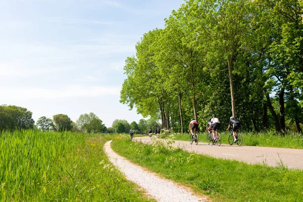 Skupina Cyklistů Projíždí Cestě Lesem Zdravý Životní Styl Koncept — Stock fotografie