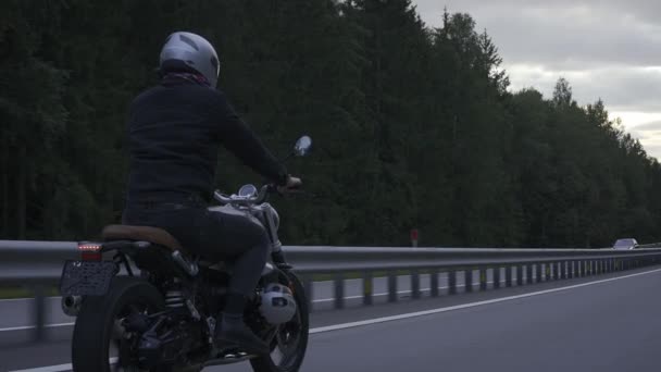 Homem andando de moto scrambler na estrada através da forrest, vista traseira — Vídeo de Stock