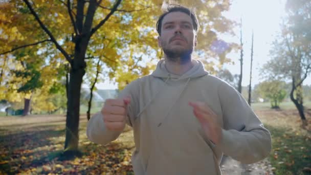 Bonito homem exercitando e alongamento antes da corrida matinal no parque no outono — Vídeo de Stock