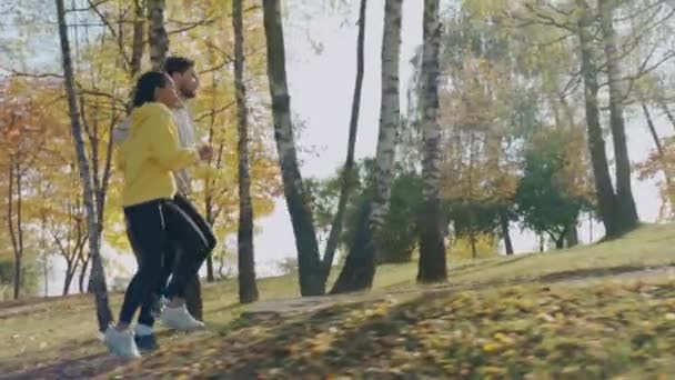 Genç bir kadın ve erkek güneşli bir sonbahar sabahı parkın merdivenlerinde koşuyorlar. — Stok video
