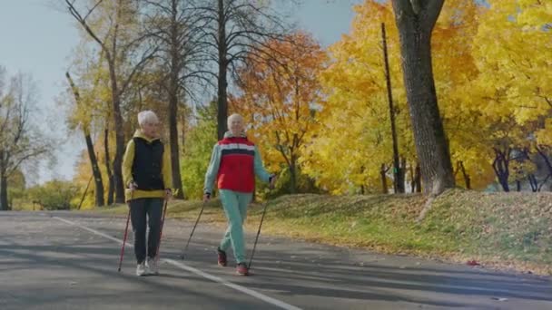 Дві старенькі жінки ідуть по міському парку восени, у сонячний день. — стокове відео