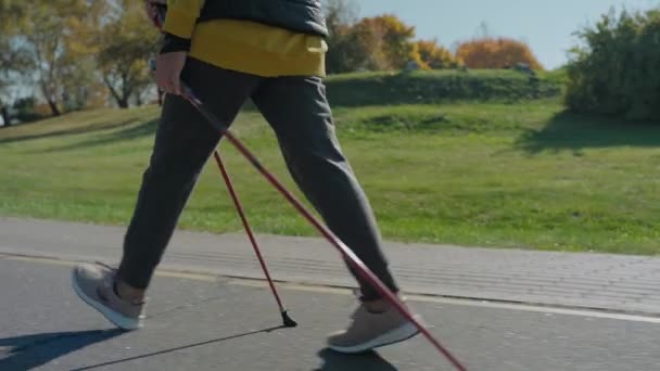 Zbliżenie na kobietę spacerującą w słonecznym jesiennym parku z kijkami do nordic walking — Wideo stockowe