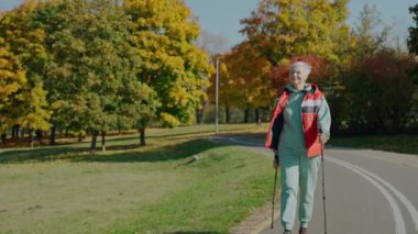 Güneşli sonbahar parkında tek başına yürüyen yaşlı bir kadın. 