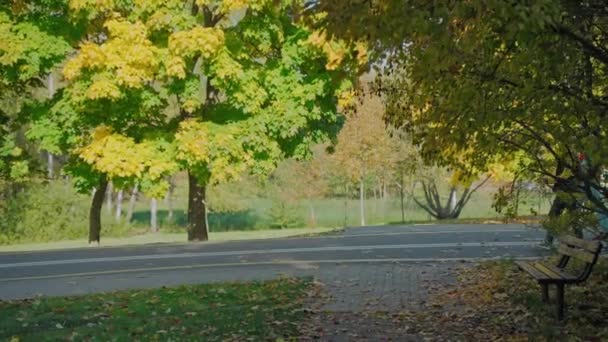 Deux femmes âgées faisant de la marche nordique dans un beau parc jaune par une journée d'automne ensoleillée — Video