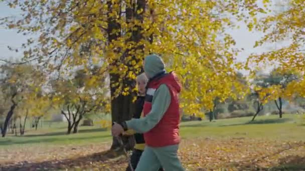 Két idős nő skandináv séta őszi városi parkban egy napos napon, oldalnézet — Stock videók