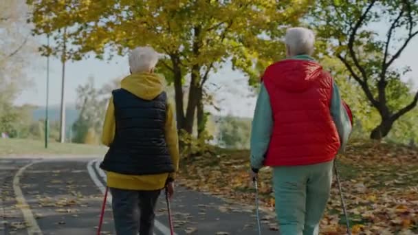 Frauen im Alter schonen ihre Gesundheit durch Spaziergänge im sonnigen Herbstpark, Rückansicht — Stockvideo