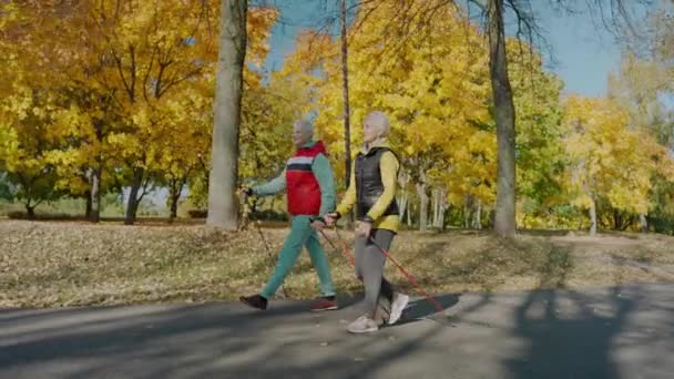 Zwei betagte Frauen laufen im sonnigen Herbstpark mit Stöcken für Nordic Walking — Stockvideo