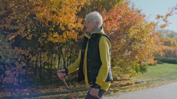 Prise de vue de la femme marchant dans le parc ensoleillé d'automne avec des bâtons de marche nordique, vue latérale — Video