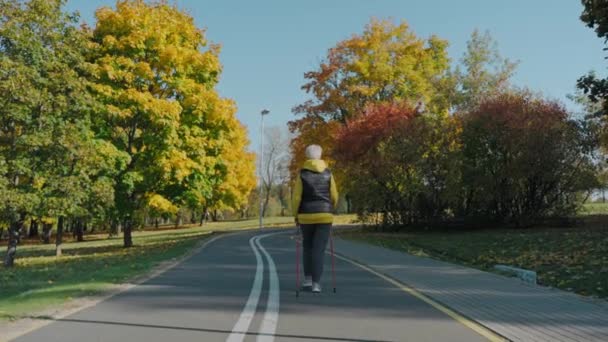 Frau schont ihre Gesundheit beim Nordic Walking im sonnigen Herbstpark, Rückansicht — Stockvideo