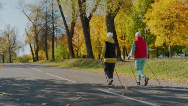 Wiek kobiety robi nordic walking w słoneczny żółty upadek parku, widok z tyłu — Wideo stockowe