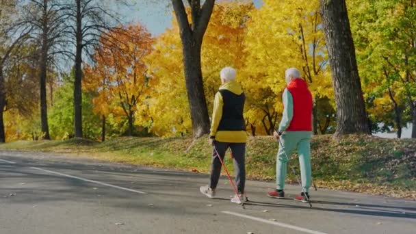 Frauen im Alter schonen ihre Gesundheit durch Spaziergänge im sonnigen Herbstpark, Rückansicht — Stockvideo