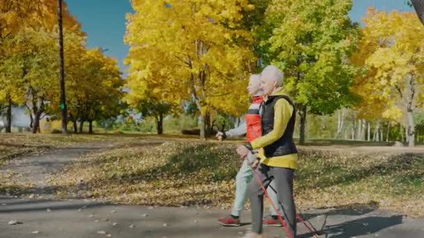 У літніх жінок роблять скандинавські прогулянки в сонячно-жовтому осінньому парку, проходячи вигляд — стокове відео