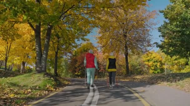 Дві старенькі жінки ідуть по міському парку восени, у сонячний день. — стокове відео