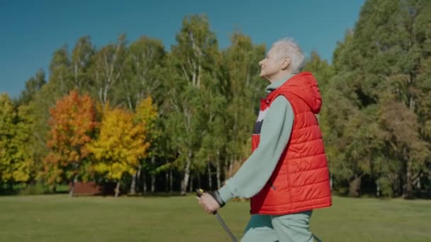 Verouderde vrouw doet nordic walking in zonnige herfst park door haarzelf, zijaanzicht — Stockvideo