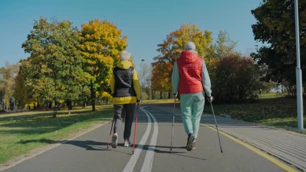 Mulheres em idade cuidam de sua saúde andando no ensolarado parque de queda, vista traseira — Vídeo de Stock