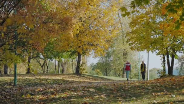 Dos mujeres de edad haciendo Nordic caminar en hermoso parque amarillo en un día soleado otoño — Vídeo de stock