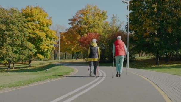 Frauen im Alter schonen ihre Gesundheit durch Spaziergänge im sonnigen Herbstpark, Rückansicht — Stockvideo