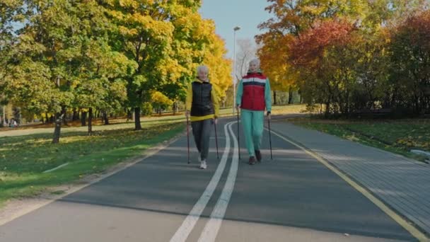 Zwei betagte Frauen gehen im sonnigen Herbstpark mit Stöcken für Nordic Walking, vorne — Stockvideo