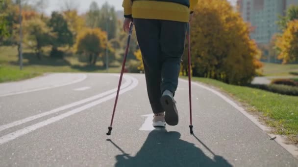 Prise de vue de la femme marchant dans le parc ensoleillé d'automne avec des bâtons de marche nordique, vue de dos — Video
