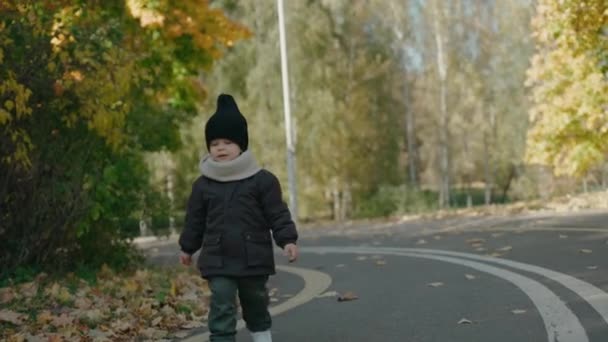 Beautiful baby boy walks to the camera in the fall park on a sunny day — Stock Video