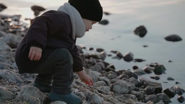 Bébé garçon ramasse une brindille pour jouer avec sur le rivage de pierre un soir d'automne — Video