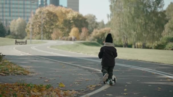 Menino monta uma scooter infantil no parque de outono em um dia ensolarado, vista traseira — Vídeo de Stock