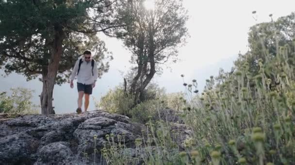 Guy reiziger loopt over de stenen op de berg, rond de bomen. — Stockvideo