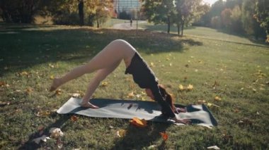 Genç bir kadın sonbahar parkında yoga yapıyor.