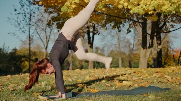Молода жінка робить чатурангу, кобру та інші пози в парку на килимку для йоги — стокове відео