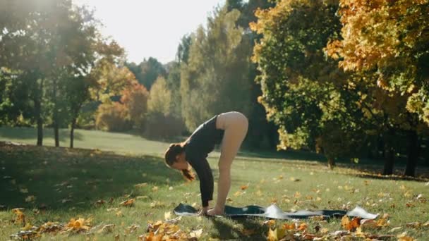 Jovem fazendo a curva para a frente e chaturanga no parque da cidade de outono em um tapete de ioga — Vídeo de Stock