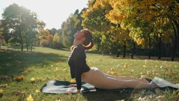 Egy fiatal nő, aki kobrát és harcos jógát csinál, pózol az őszi városi parkban egy jóga szőnyegen. — Stock videók