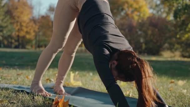 Genç bir kadının, sonbahar parkında yoga minderinde poz verirken yakın çekimi. — Stok video