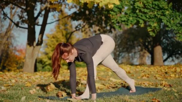 Chaturanga, kobra ve diğer pozları veren genç bir kadın yoga minderinde parkta poz veriyor. — Stok video