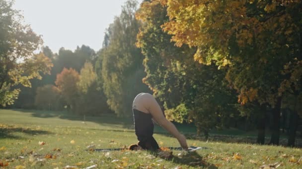 Молода жінка практикує позу йоги в міському парку в сонячний осінній день — стокове відео