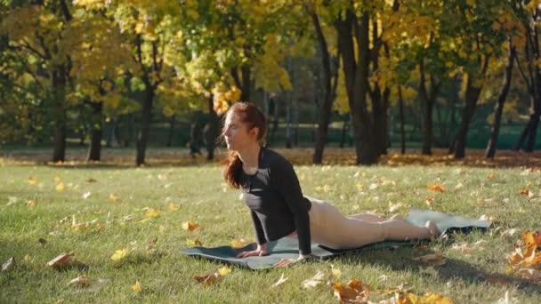 Молода жінка займається чатуранга, кобра і воїн позує в парку на йога килимок — стокове відео