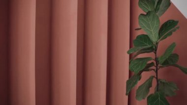 Plant on a peach relief background. peach coloured louver walls