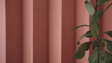 plant in the side of the screen on a peach coloured louver walls