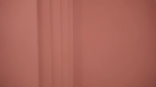 Pink relief background, blur peach color — Stockvideo