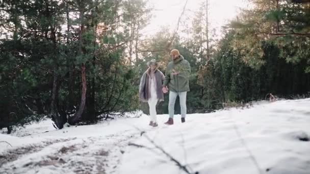 Романтична пара гуляє в лісі, тримаючи руки в сонячний зимовий день — стокове відео