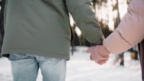 Pareja romántica caminar a su furgoneta de la mano en el bosque de invierno — Vídeos de Stock