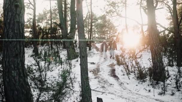 Pareja romántica camina por el bosque tomados de la mano en un día soleado de invierno — Vídeo de stock